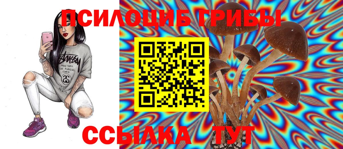 Псилоцибиновые грибы Magic Shrooms Котельники