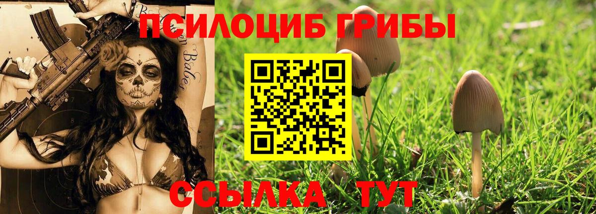 Котельники  Псилоцибиновые грибы GOLDEN TEACHER  Псилоцибиновые грибы MAGIC MUSHROOMS  Вход с VPN 
